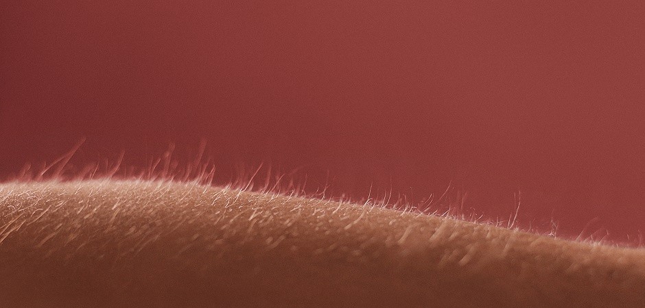 LHYL Intimacy - Arm raise 940x450